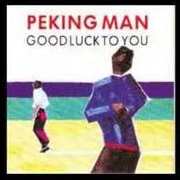 Good Luck To You by Peking Man