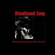 Why Is Everybody Always Picking On Me by Bloodhound Gang