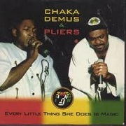 Every Little Thing She Does Is Magic by Chaka Demus & Pliers