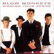 Digging Your Scene by The Blow Monkeys