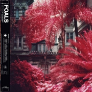 Everything Not Saved Will Be Lost Pt. 1 by Foals