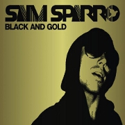 Black And Gold by Sam Sparro