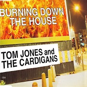 BURNING DOWN THE HOUSE by Tom Jones