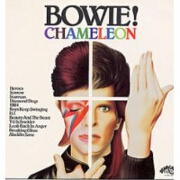 Chameleon by David Bowie