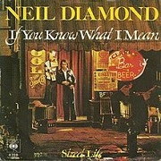 If You Know What I Mean by Neil Diamond