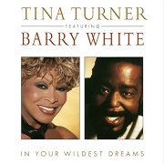 In Your Wildest Dreams by Tina Turner featuring Barry White