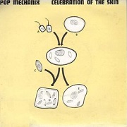 Celebration Of The Skin by Pop Mechanix