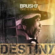 Destiny by Brushy One String