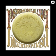 Psychedelic Pill by Neil Young
