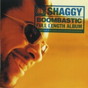 Boombastic by Shaggy