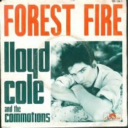 Forest Fire by Lloyd Cole & The Commotions