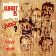 What Is Beat? The Best Of The Beat by The Beat