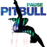 Pause by Pitbull