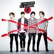 Everything I Didn't Say by 5 Seconds Of Summer