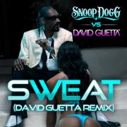 Sweat by Snoop Dogg vs David Guetta