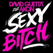 Sexy B**** by David Guetta feat. Akon