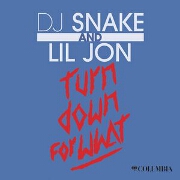 Turn Down For What by DJ Snake feat. Lil Jon