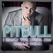 I Know You Want Me (Calle Ocho) by Pitbull