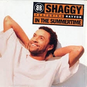 In The Summertime by Shaggy