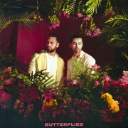 Butterflies by MAX And Ali Gatie