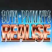 Realise by Sota And Primate