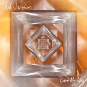 Come My Way by Third Junction