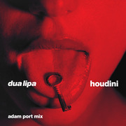 Houdini (Adam Port Mix) by Dua Lipa
