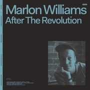 After The Revolution by Marlon Williams