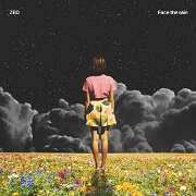 Face The Rain by Zed