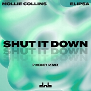 Shut It Down (P Money Remix) by Mollie Collins And Elipsa