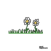 Daisies by Good Neighbours