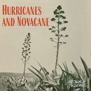 Hurricanes And Novacane by Midwave Breaks