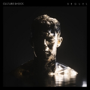 Recombine by Culture Shock And Sub Focus