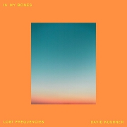 In My Bones by Lost Frequencies And David Kushner