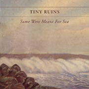 Some Were Meant For Sea:10th Anniversary Edition by Tiny Ruins