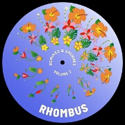 Dub You So Right by Rhombus feat. TK Paradza, Lisa Tomlins And Matthew Allison