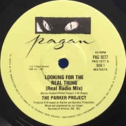 Looking For The Real Thing by The Parker Project