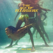 The Age Of Pleasure by Janelle Monae