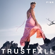Trustfall by Pink