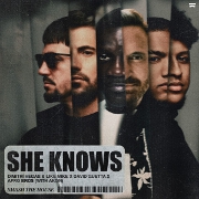 She Knows by Dimitri Vegas & Like Mike, David Guetta, Afro Bros And Akon