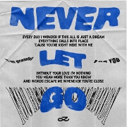 Never Let Go by Jung Kook