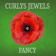 Fancy by Curlys Jewels