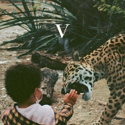 V by Unknown Mortal Orchestra