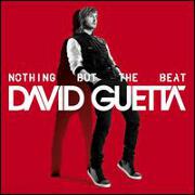 Nothing But The Beat by David Guetta