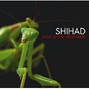 Love Is The New Hate by Shihad