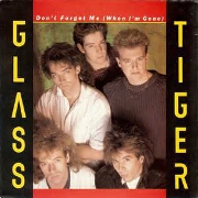 Don't Forget Me (When I'm Gone) by Glass Tiger