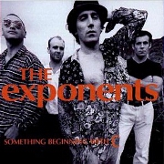Why Does Love Do This To Me? by The Exponents