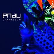 Chameleon by Pnau