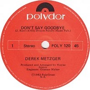 Don't Say Goodbye by Derek Metzger