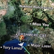 Miss You by Cashmere Cat feat. Torey Lanez And Major Lazer